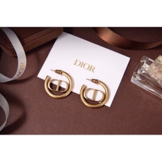 Christian Dior Earrings